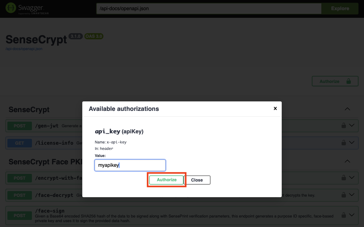 Entering the API Key and clicking Authorize