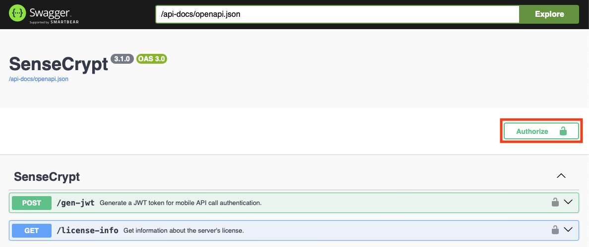 Clicking the Authorize button
