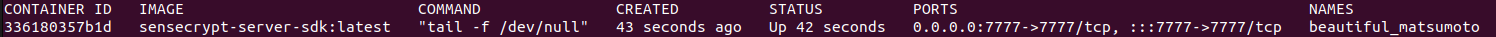 Example output of docker ps